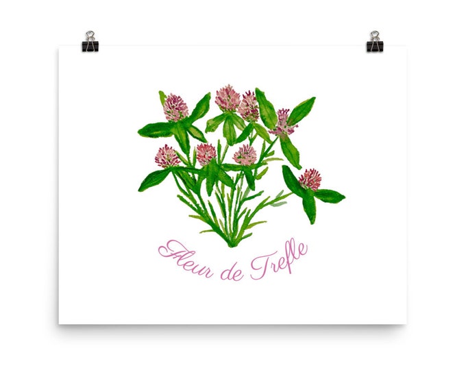 Red clover print