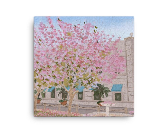 Canvas