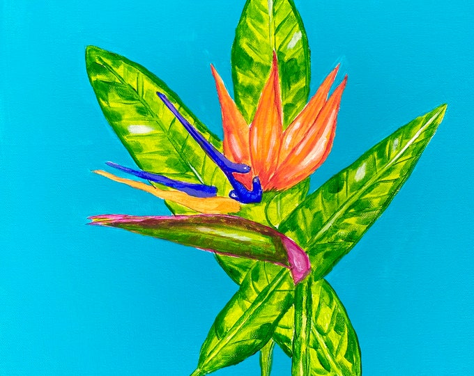 Bird of Paradise