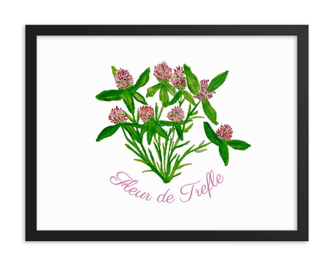 Red clover Framed print