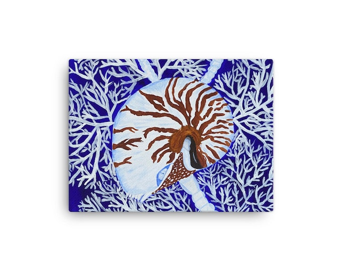 Nautilus and CoralCanvas