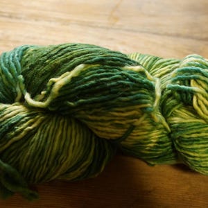 May include: A skein of hand-dyed yarn in shades of green and yellow. The yarn is a variegated blend, with darker green and lighter yellow sections creating a textured appearance. The yarn is likely for knitting or crocheting.