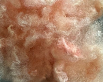 Hand dyed cross bred wool fiber - Border Leicester/Shetland/Cormo