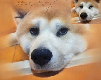 Custom Pet Portrait: Hand-Painted Oil Painting on Canvas
