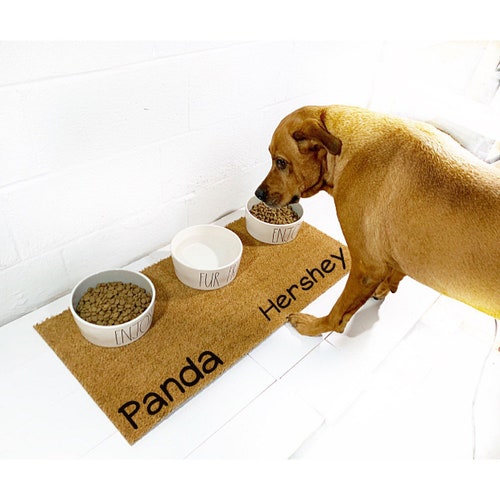 large dog neater feeder deluxe with leg extensions