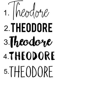 May include: A white background with the name "Theodore" written five times in different fonts. The name appears in a cursive script, bold sans-serif, and other unique styles.