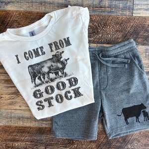 Cow toddler tshirt, livestock, moo country kids shirt, herd, favorite animal cow, old country barn, good stock youth, country, farmer