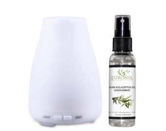 Insieme del diffusore aromaterapia