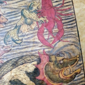 May include: Antique nautical illustration featuring sea creatures. A large red lobster battles a teal sea monster with a spiky dorsal fin. The artwork is detailed with black outlines and gold accents, set against a parchment-like background.