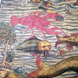 May include: Antique nautical map illustration featuring a large pink lobster, sea creatures, and a ship in choppy waters. The map has a vintage aesthetic with detailed drawings and a faded color palette, depicting a historical maritime scene.