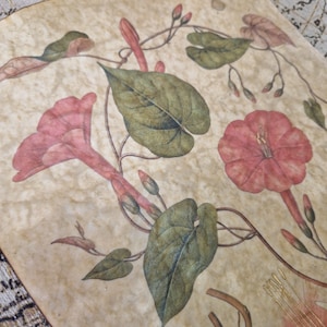 May include: A botanical illustration featuring pink morning glory flowers, green leaves, and brown vines. The artwork is on aged paper, with a map visible in the background. The flowers are in full bloom, with detailed shading and color variations.