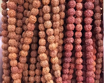 Rudraksha Beads - Natural Rudraksha Beads 8MM - Loose Rudraksh Beads - 10,25,50,100 Rudraksha beads