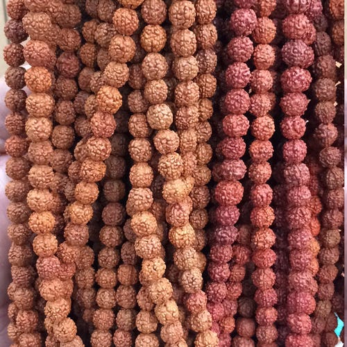 Rudraksha Beads Natural Rudraksha Beads 8MM Loose Rudraksh Etsy