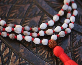 Vaijanti (Job's Tears) Japa Mala with Rudraksha guru bead 108 beads purified & blessed mala