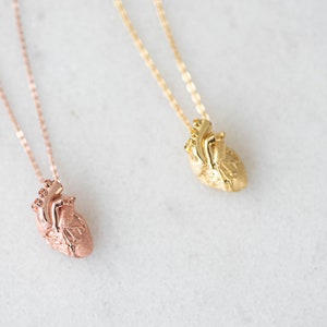 Rose Gold over Sterling Silver anatomical heart necklace, heart necklace, nurse necklace, medical gifts, anatomical heart, nurse gifts. med zdjęcie 5