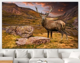 Large Five Piece Moose Wildlife Nature Hunting Canvas Print Wall Art Home Decor