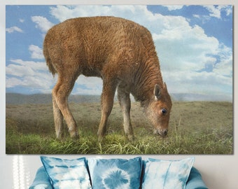 Calf Print on Canvas Baby Calf Poster Bison Calf Wall Art Animal Photo Print Multi Panel Wall Art Baby Cow Print for Lake House Decor