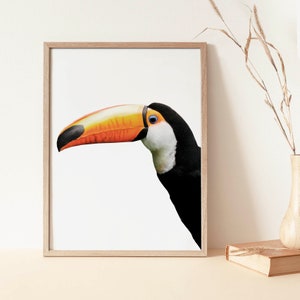 Toucan Print, tropical bird Print, printable wall art, tropical parrot Decor, colorful large Poster Livingroom Kitchen, Printable