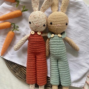 May include: Two crocheted bunny plushies wearing dungarees. One bunny is beige with brown eyes and a light blue dungaree. The other bunny is white with brown eyes and a red dungaree.