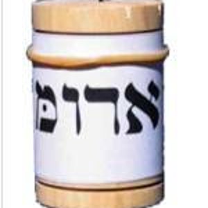 Only Therapy Hebrew Pendulum