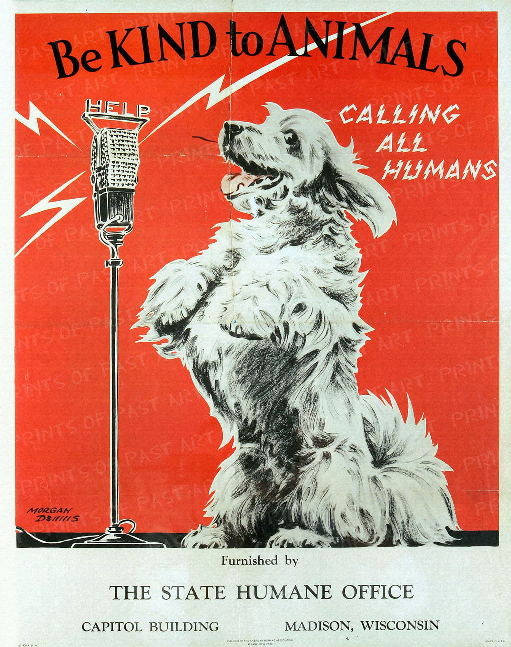 Be Kind to Animals Calling All Humans Vintage Animal Rights