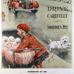May include: A vintage poster with a red car driving down a street. The poster says "Be Kind to Animals, Drive Carefully, Someone's Pet". The poster is promoting safe driving and animal welfare.