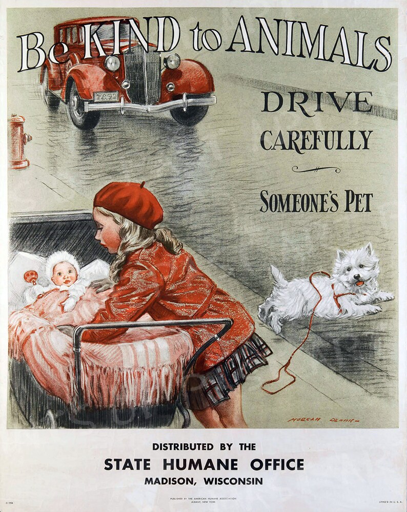 May include: A vintage poster with a red car driving down a street. The poster says "Be Kind to Animals, Drive Carefully, Someone's Pet". The poster is promoting safe driving and animal welfare.