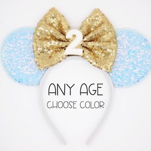 Birthday Mouse Ears | Birthday Party Ears | Any Age Birthday Magic Mouse Ears Headband | Candy Ice Ears | Choose Age + Bow Color