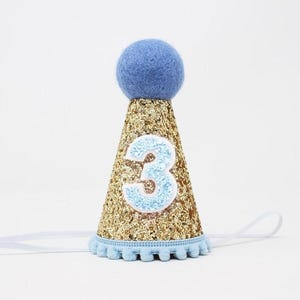 Third Birthday Boy Party Hat | 3rd Birthday Hat | 3rd Birthday Boy Cake Smash | Pale Gold Glitter Hat + Choose Color Number &quot;3&quot;