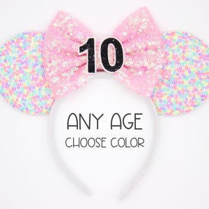 10th Birthday Mouse Ears | Tenth Birthday Sprinkles Mouse Ears Headband | 10th Birthday Ears | Choose Age + Bow Color