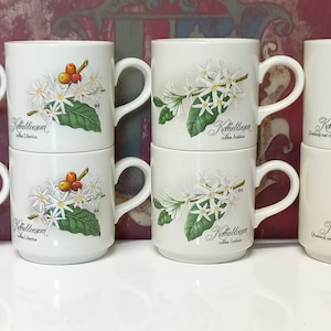 Villeroy & Boch Mug - Cup / Coffee Branch / Coffee Blossom