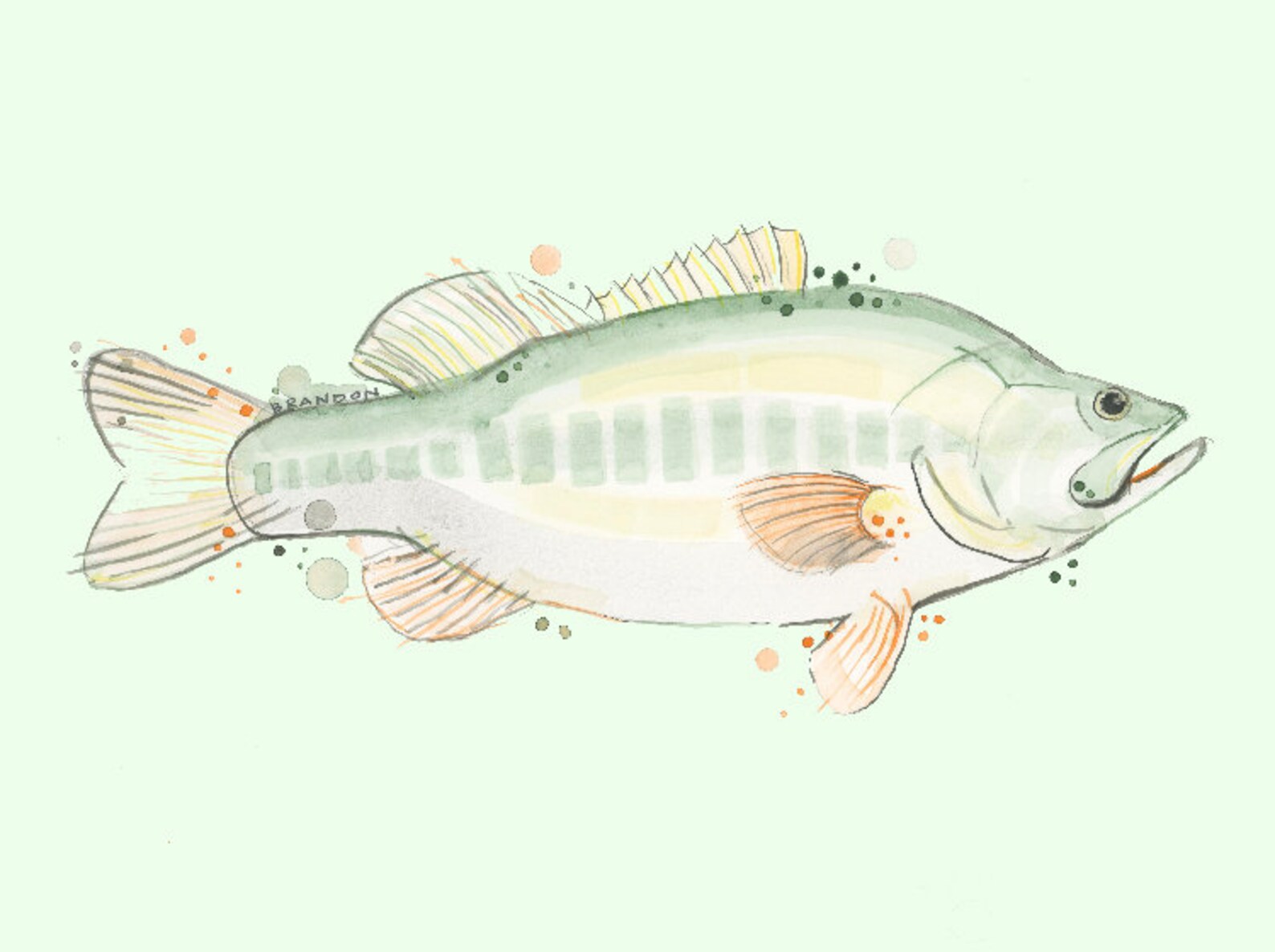 Largemouth Bass Print Fish Lake River Beach Mountain Lodge | Etsy