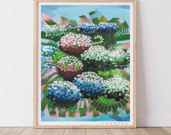 Hydrangeas "Big Bloom" by Brandon Thomas | Archival Quality Art Print