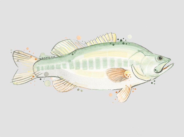 Largemouth Bass Print Fish Lake River Beach Mountain Lodge - Etsy