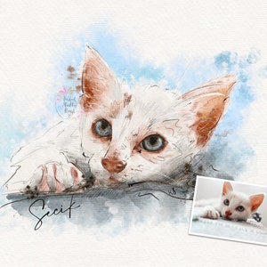 Custom Pet Portrait, Watercolour Pet Illustration , Pet Lover Gift, Pet Memorial, Dog Cat Digital Painting, digital or unframed print