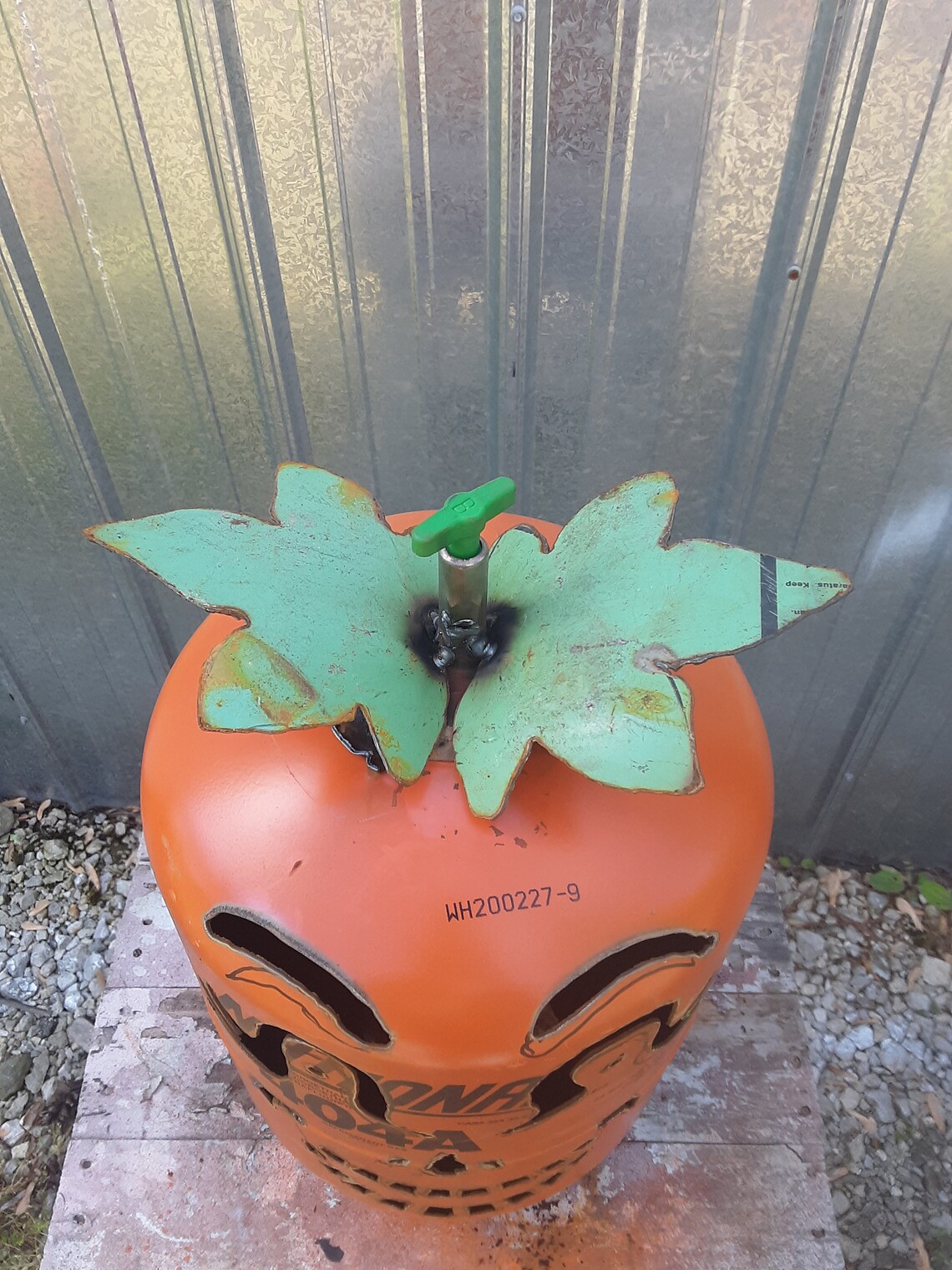 Calabazas tontas lucy Halloween linternas Jack o arte de | Etsy