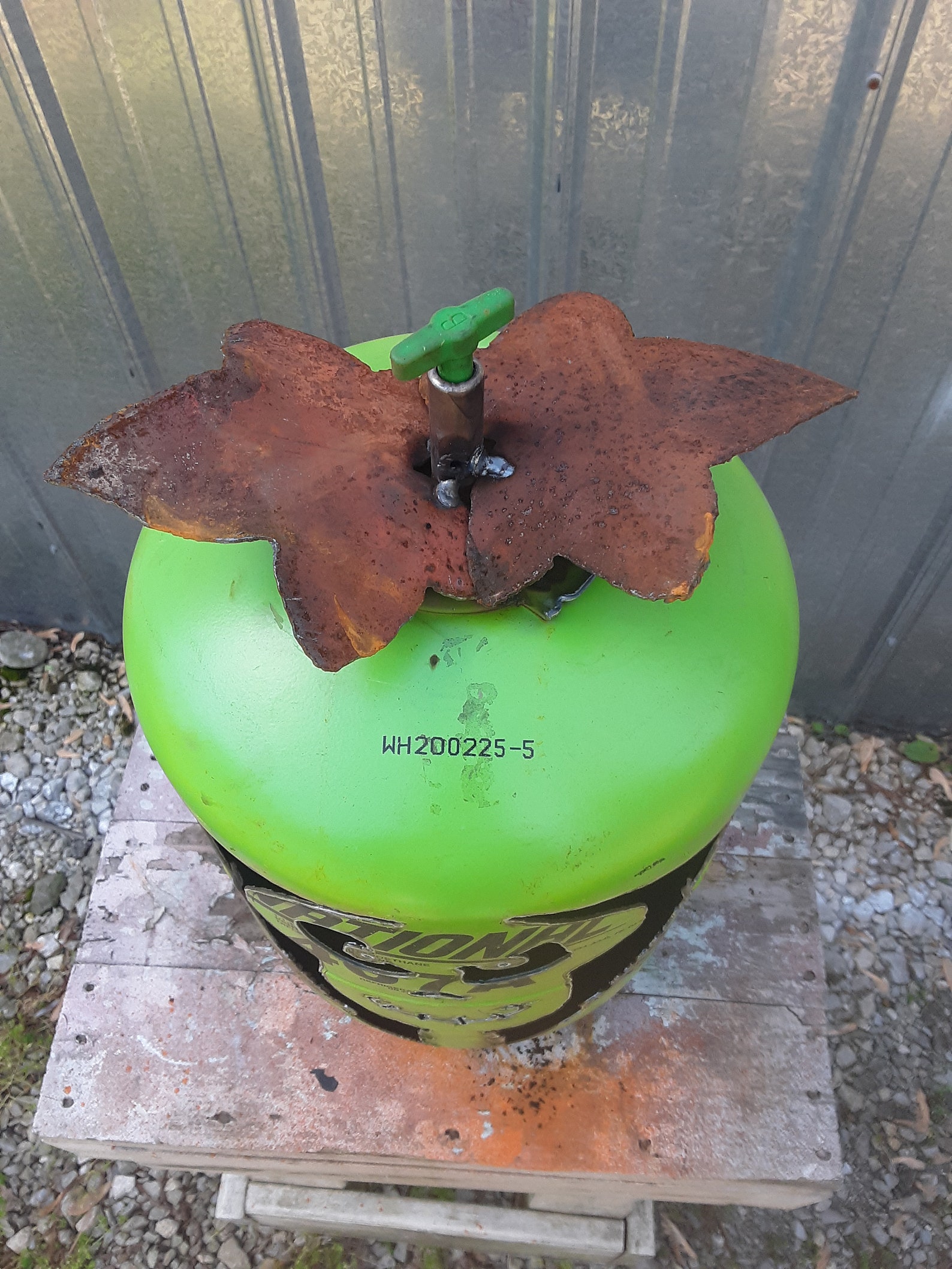 Cráneo calabazas de Halloween Linternas Jack o decoración de | Etsy