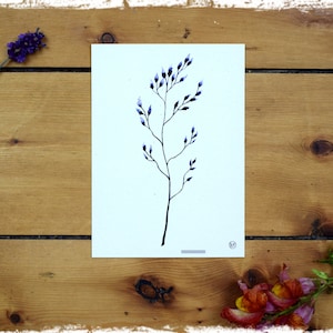 Cartão Flor Azul 5 - Cartão Postal Arte Aquarela Minimalista Botânica Boho Cartão Presente