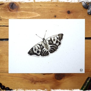 Postkarte "Schauerfalter" - DIN A 6 Kunstdruck Tuschezeichnung Nachtfalter Gothic