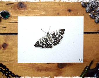 Postcard "Schauerfalter" - DIN A 6 Art Print Ink Drawing Moth Gothic