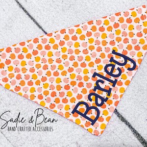 May include: A pink and white dog bandana with a pumpkin pattern and the name "Bailey" embroidered in navy blue. The bandana is made by Sadie & Bean, hand-crafted accessories.