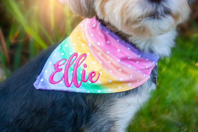 Personalized Dog Bandana Embroidered Polka Dot Rainbow Etsy