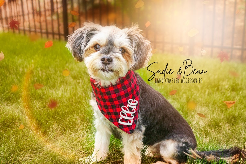 Personalized Dog Bandana Embroidered Fall Buffalo Plaid Etsy