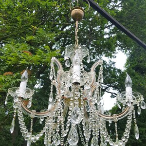 May include: A vintage crystal chandelier with multiple curved arms, each holding a light. The chandelier is adorned with numerous clear crystal droplets and hanging pendants. The fixture is suspended from a black metal support against a backdrop of green foliage.