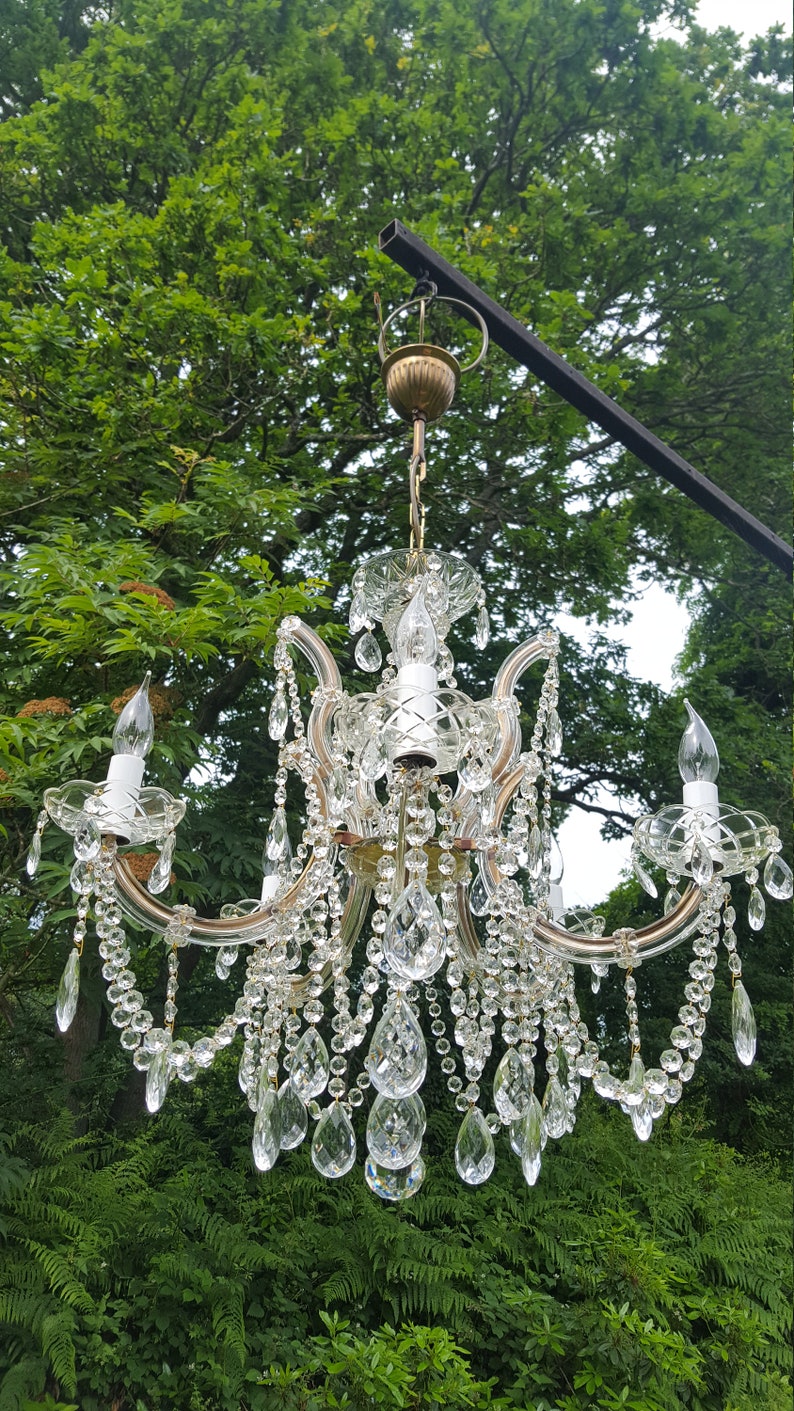 May include: A vintage crystal chandelier with multiple curved arms, each holding a light. The chandelier is adorned with numerous clear crystal droplets and hanging pendants. The fixture is suspended from a black metal support against a backdrop of green foliage.