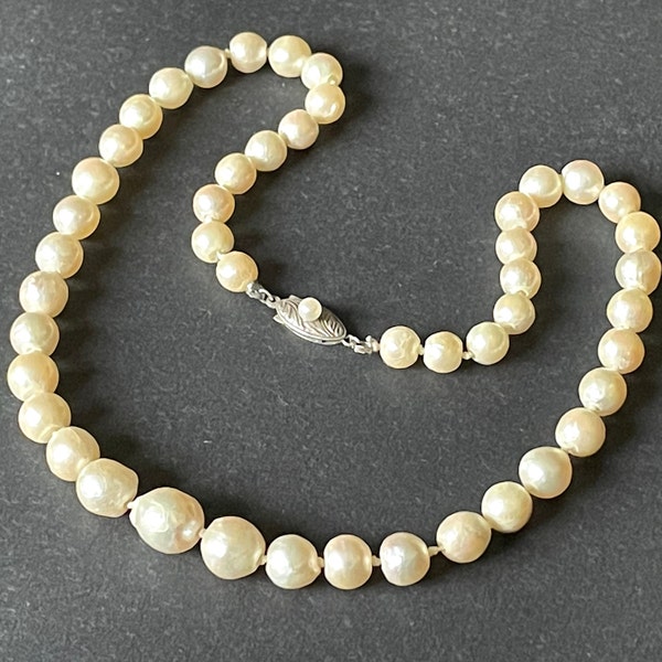 Antique real cultured pearl necklace, large and graduated in size, hand-knotted, in jeweller's box, pretty sterling silver clasp 30 grams