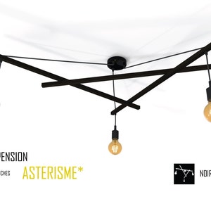 Matte black ceiling light fixture deals
