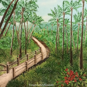 Original, Fine Art Print - El Yunque National Forest