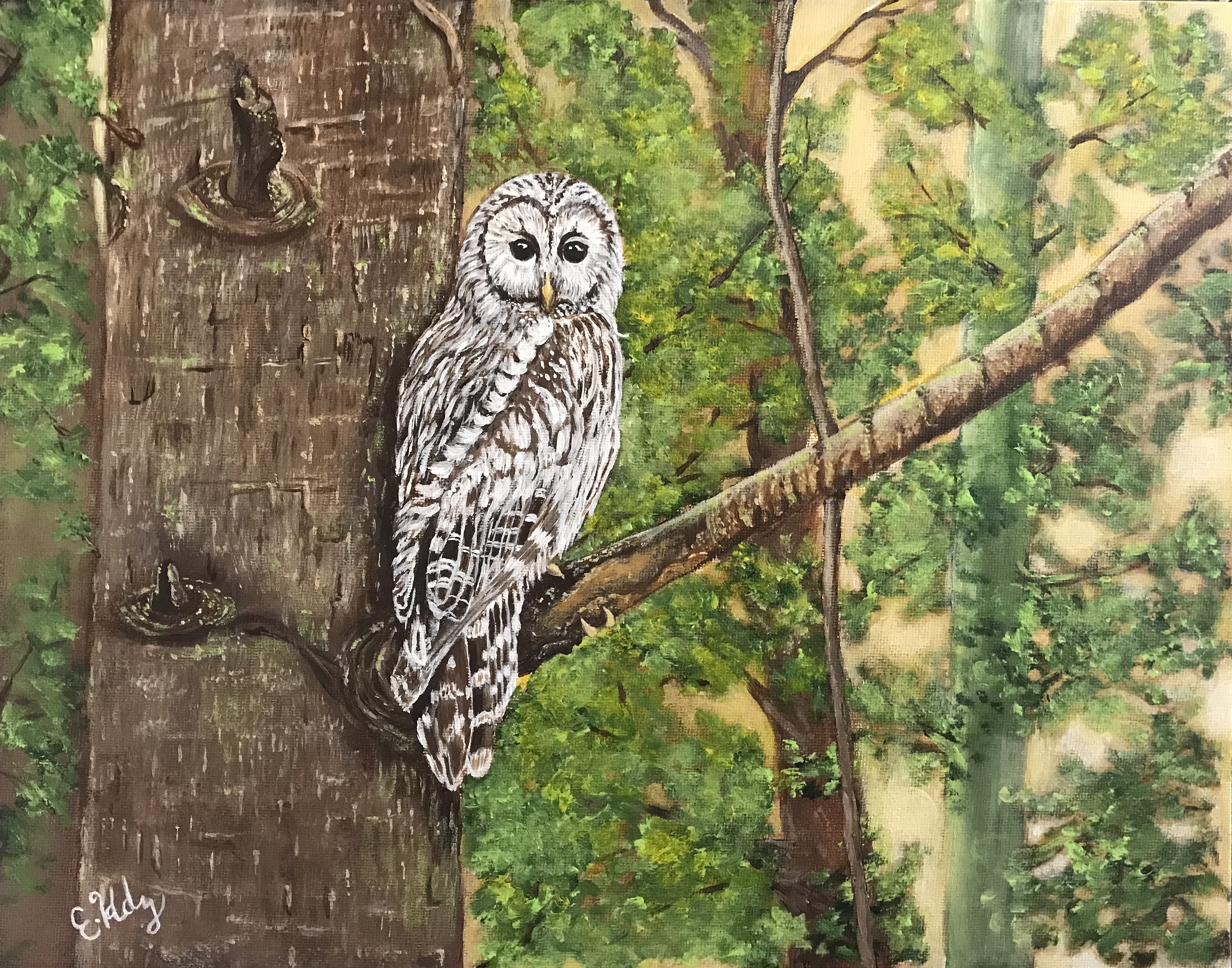 Original Artwork, The Ural Owl, 11 x 14