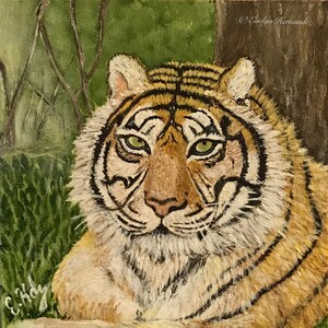 Original, The Tiger, 6 x 6
